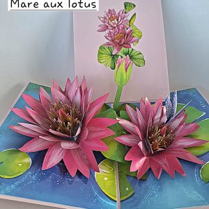 Carte pop up 3D Mare aux lotus