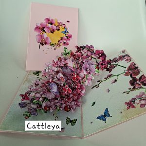 Carte pop up 3D Cattleya
